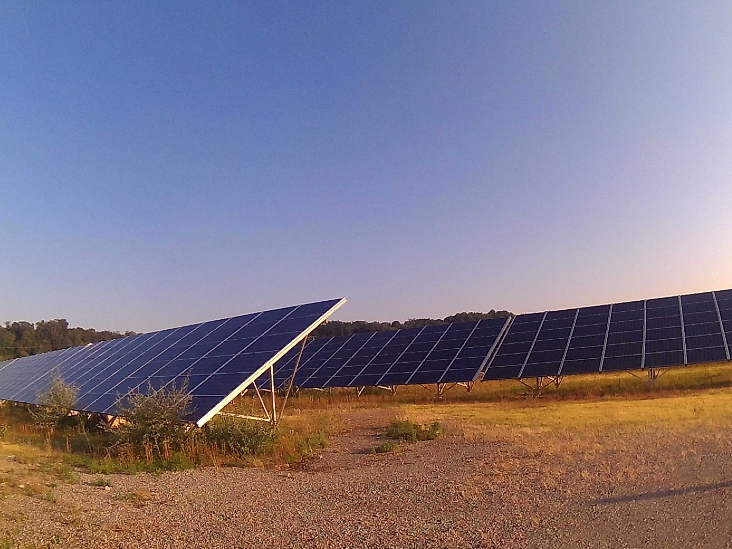 Rangées de panneaux solaires dans un champ à l'heure dorée